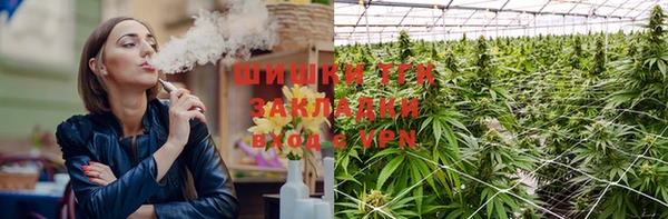 мяу мяу мука Новозыбков