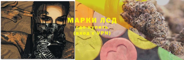 мяу мяу мука Новозыбков