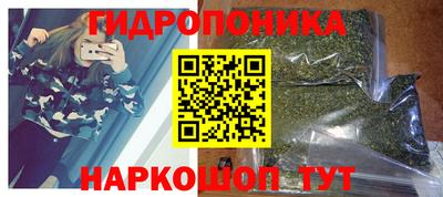 ALPHA PVP Гай