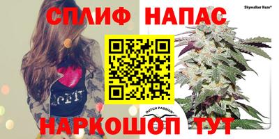 ALPHA PVP Гай