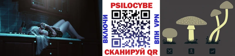 Псилоцибиновые грибы ЛСД  Димитровград 